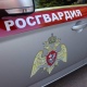 В Брянской области машина Росгвардии подорвалась на мине, четверо раненых