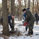 В Курске 4 марта для военнослужащих заготовили 160 кубометров дров
