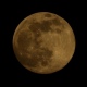 Жители Курской области 7 марта могут наблюдать Червивую Луну