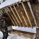 В Курской области диких животных подкармливают зерном, сеном и солью