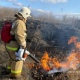В Курской области за сутки зарегистрировано девять случаев горения сухой травы