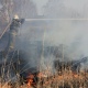 В Курской области жители начали поджигать сухую траву