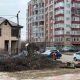В Курске на улице Димитрова спилили два больших дерева