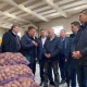 Белорусские овощи борщового набора появятся в магазинах Курской области