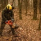 В Курске 120 человек заготовили 75 кубометров дров для военных