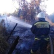 В Курской области за сутки 47 раз горела сухая трава