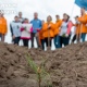 Под Курском высадят геоглиф из 100 тысяч деревьев в рамках акции «Сад Памяти»