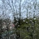 В Курской области 6 мая похолодает до нуля, пройдут дожди со снегом