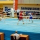 В Гомеле курские боксеры вышли в полуфинал турнира, посвященного Дню Победы