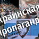 В Курской области опровергли фейк о схронах с оружием