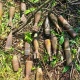 В Курской области за семь дней обнаружили и обезвредили более 20 взрывоопасных предметов