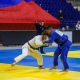 Дзюдоисты из Курской области завоевали 10 медалей на всероссийском турнире