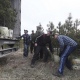 В честь 80-летия победы в Курской битве высадят аллею сибирских кедров