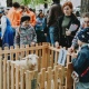 14 мая в Курске пройдет агрофестиваль