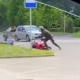В Курской области уходивший от полицейской погони мотоциклист сбил пешехода