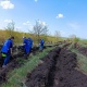 В Щигровском районе Курской области высадили «Сад Памяти»