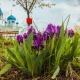 В Курской области 17 мая воздух прогреется до 26 градусов