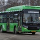 В Курске на маршруты выйдут 159 автобусов малой, средней и большой вместимости