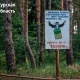 В Курской области продлен запрет на посещение лесов и разведение костров