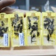 Курским пасечникам присылают пчел по почте
