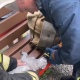 Курские спасатели реанимировали кота, на пожаре надышавшегося дымом