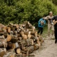 Жители Курска собрали 40 кубометров дров для нужд СВО