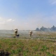 В Курской области горела стерня на площади 200 квадратных метров