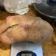 Житель Курской области вырастил картофелину весом 1265 граммов