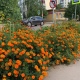 В Курской области 9 сентября ожидается до +19 градусов