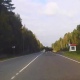В Курской области водителей призвали к бдительности из-за начавшейся миграции лосей