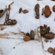 Под Тулой поисковики обнаружили останки красноармейца из Курской области