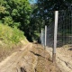 В Курской области прокуратура требует от установившего забор предпринимателя обеспечить свободный доступ к лесным участкам