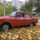 В Курской области 21 октября ожидается туман, дожди и до +10 градусов