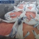 В Курской области агроном похитил 9,9 тонны семян сои