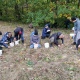 В Курской области планируют создать около 500 школьных лесничеств