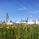 Секретарь Совбеза РФ Патрушев заявил о попытках Украины атаковать Курскую АЭС