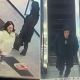 В Курске полиция разыскивает мужчину и женщину за кражу в магазине на улице Карла Маркса