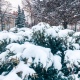 В Курской области ожидаются снегопады из-за столкновения двух фронтов: арктического с южным