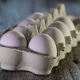 ФАС выясняет причины подорожания куриных яиц