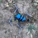 В Курской области пограничники утром приземлили дрон-камикадзе