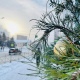 На Курскую область надвигаются 14-градусные морозы и снег с сильным ветром