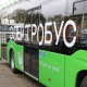 В Курск прибыли все 10 новых электробусов
