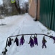 В Курской области 25 ноября ожидается снег и до +3°С