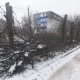 В Курске на 1-й Пушкарной во время сноса 8 деревьев поломали металлические ограждения