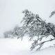 В Курской области 26 ноября ожидаются сильные снегопады и метели