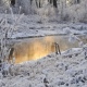 В Курской области 28 ноября ожидаются сильный ветер, снег и до 7 градусов мороза