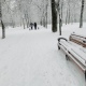 В Курской области 29 ноября ожидаются сильный ветер, снег с дождем и до 4 градусов тепла