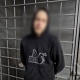 В Курске при задержании подозреваемый в мошенничестве отбивался от полиции баллончиком