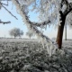 Антициклон может принести суровые морозы в Курскую область
