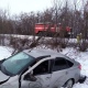 В Курской области раненого водителя заблокировало в улетевшей с дороги машине